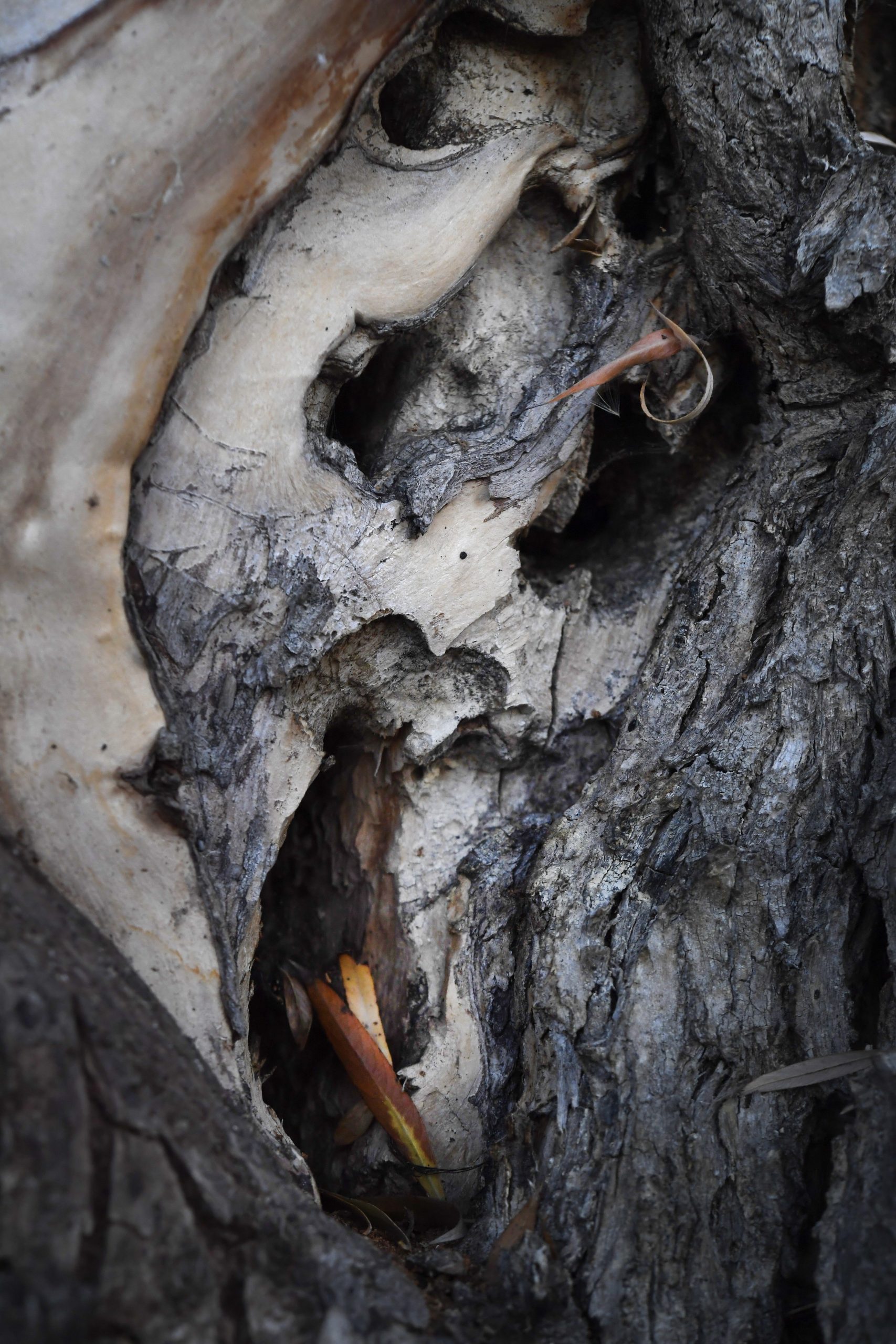 201206-Wienerberg-DH-1288