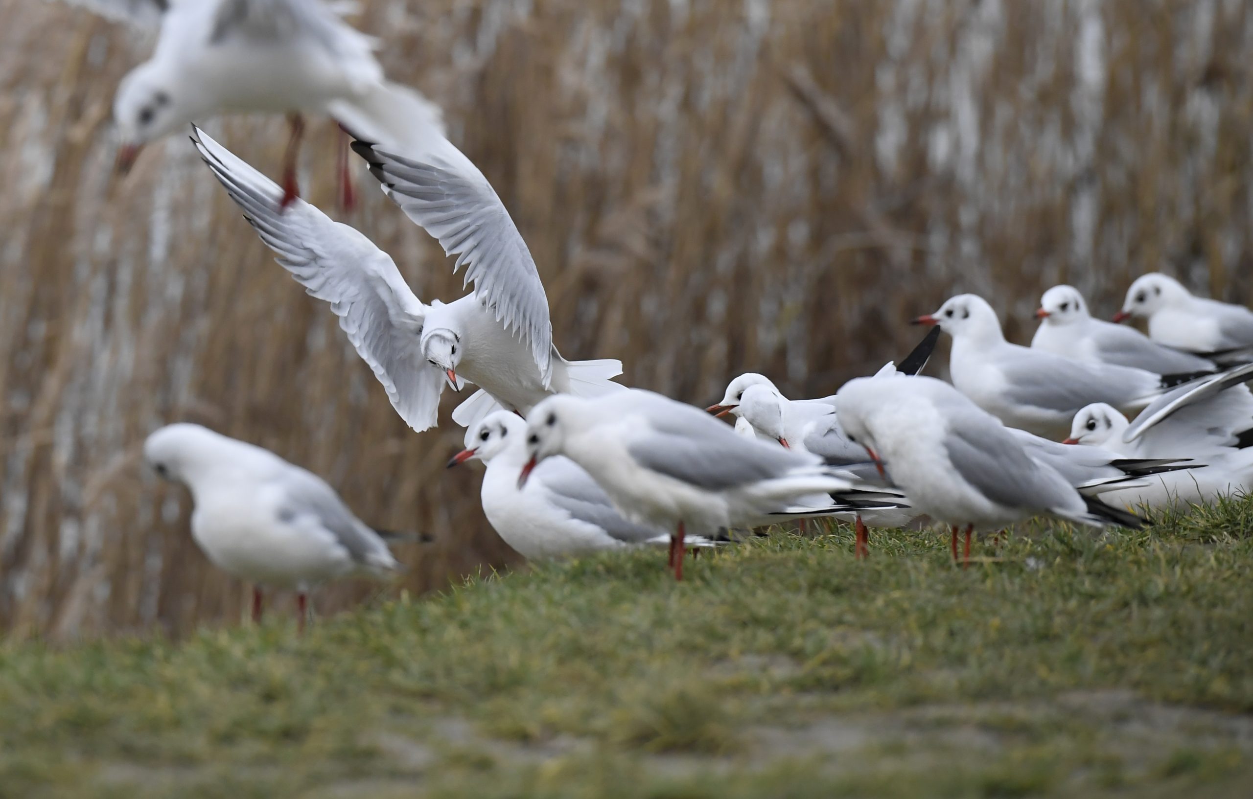 201208-Wienerberg-DH-1401