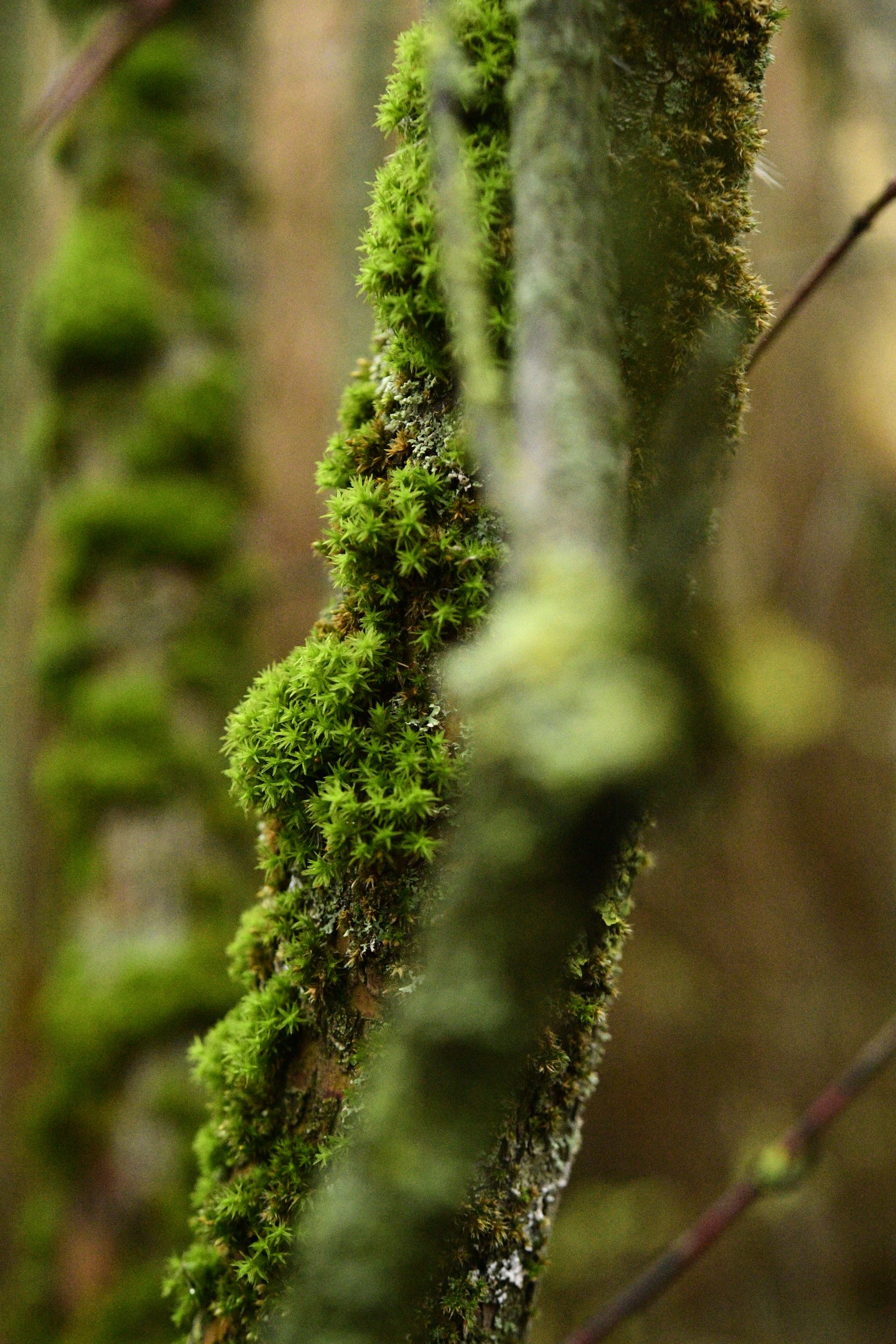 201219-Wienerberg-DH-2035