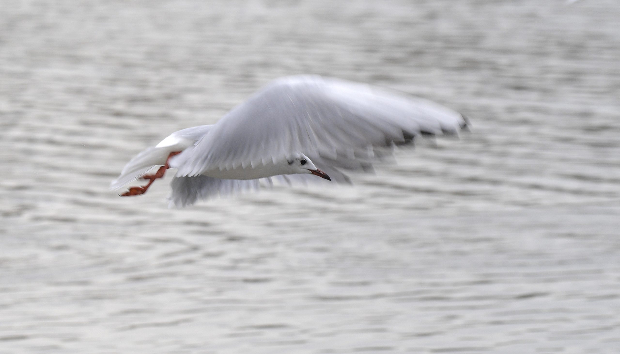 201225-Wienerberg-DH-2315